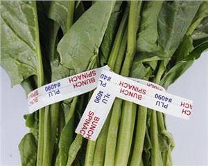 حديقة ورقة نباتية طازجة تويست التعادل