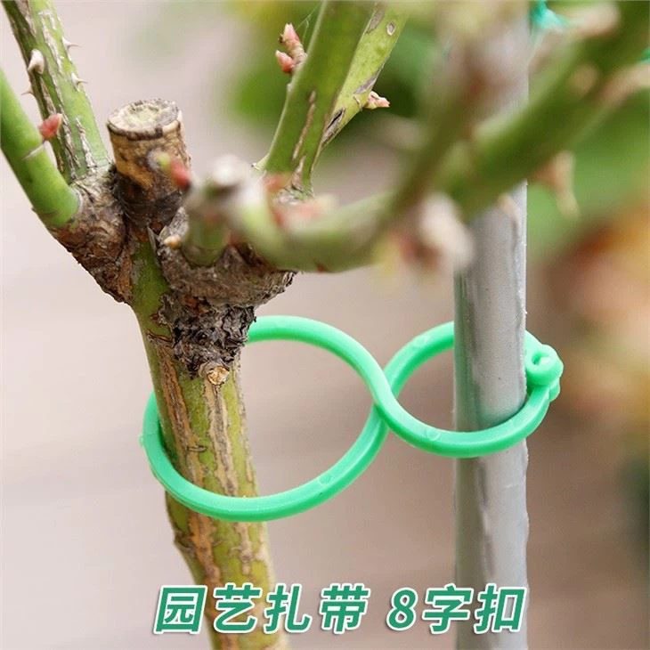 Eight-shaped Buckle Ring Gourd Ring Gardening Buckle
